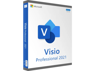 Microsoft Visio Professionnel 2021 pour 1 appareil