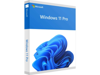 Microsoft Windows 11 Professionnel - Clé d'activation pour 1 appareil